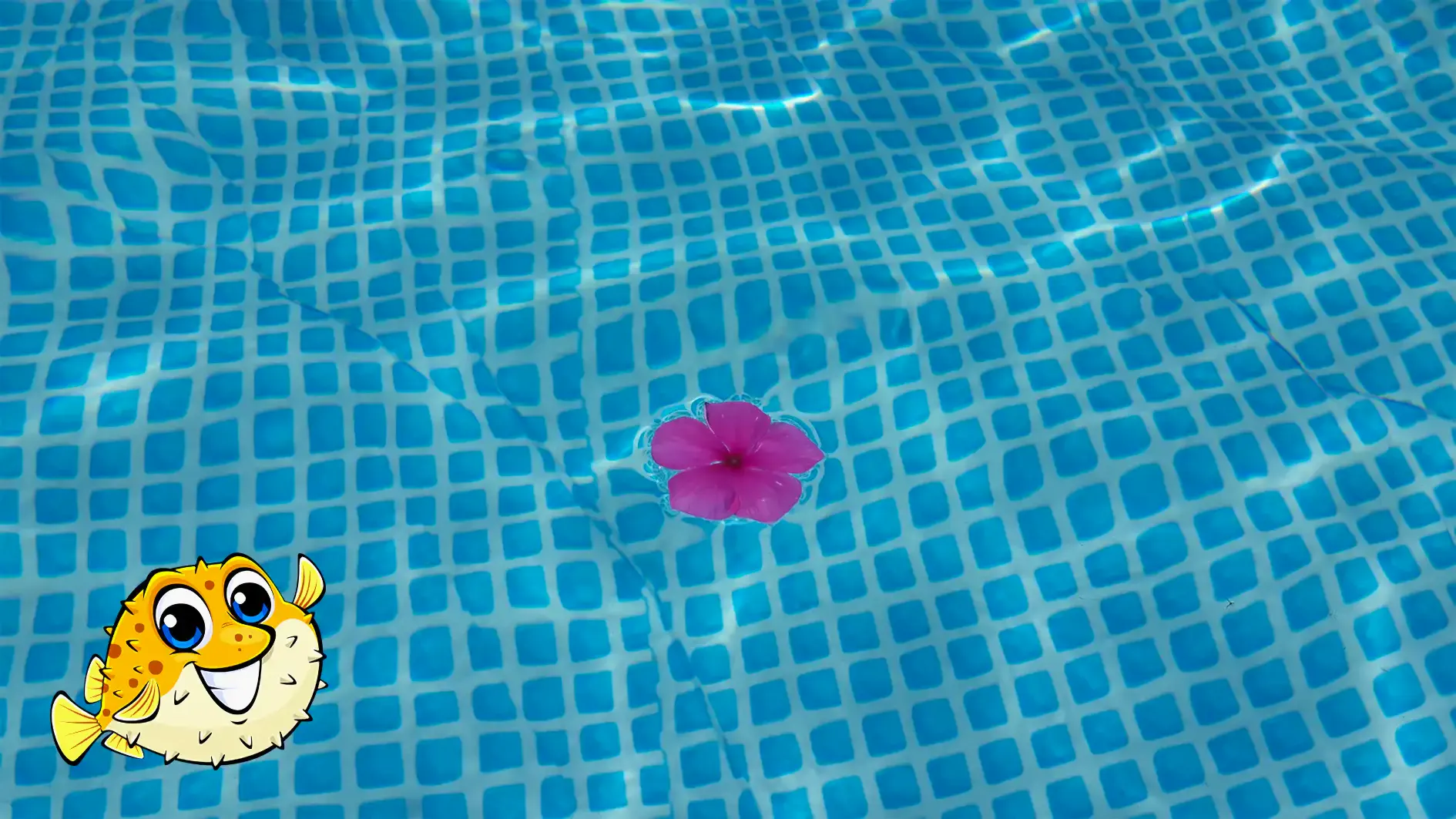 Getting Ready For Summer