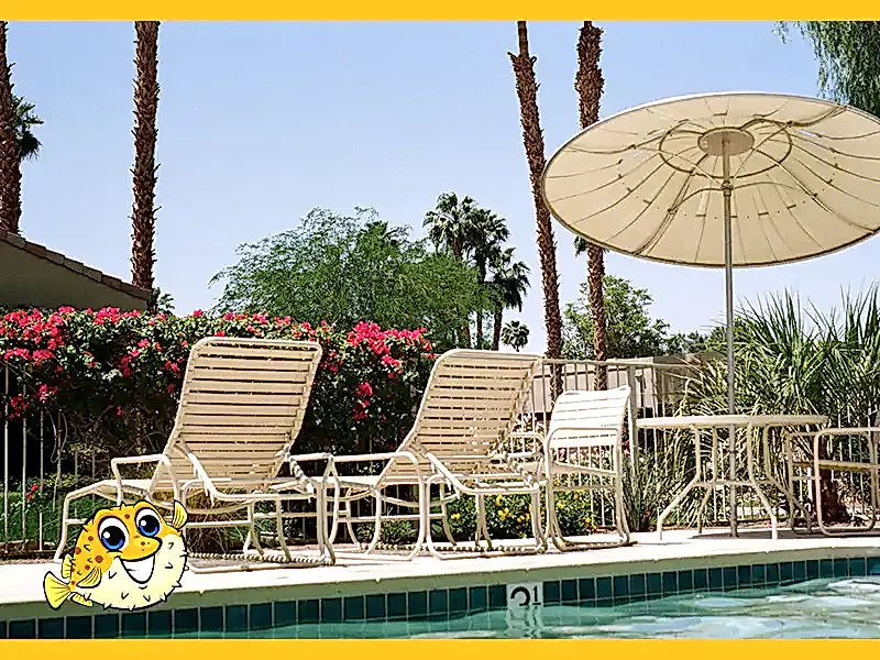 Preserving Your Pool Area
