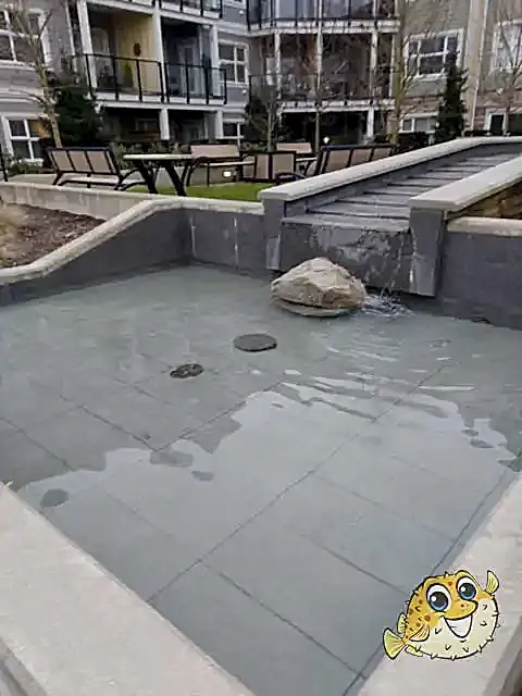 Water Feature Maintenance