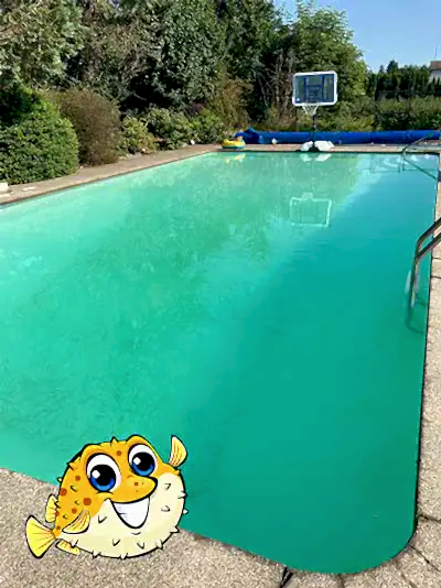 What Is Making Your Pool Water Cloudy?