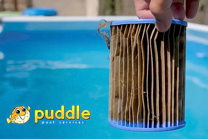 When to Change Your Pool Filter: A Quick Guide From Puddle