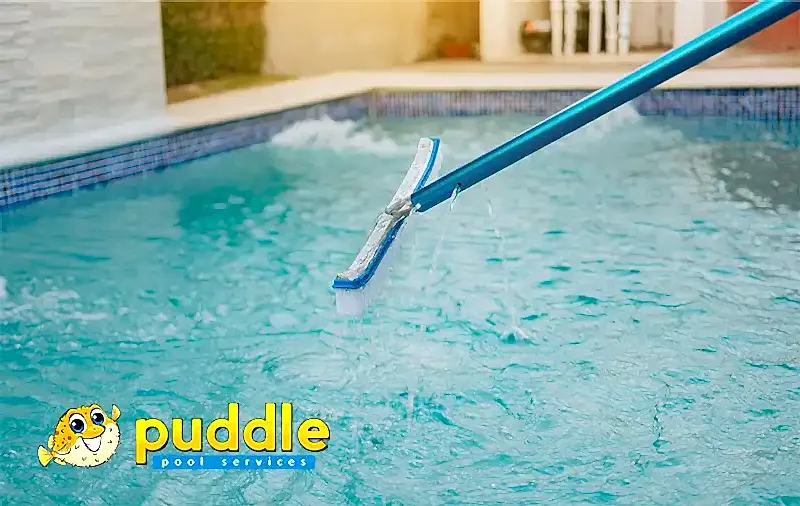Pool Closings vs. Off-Season Cleaning Programs